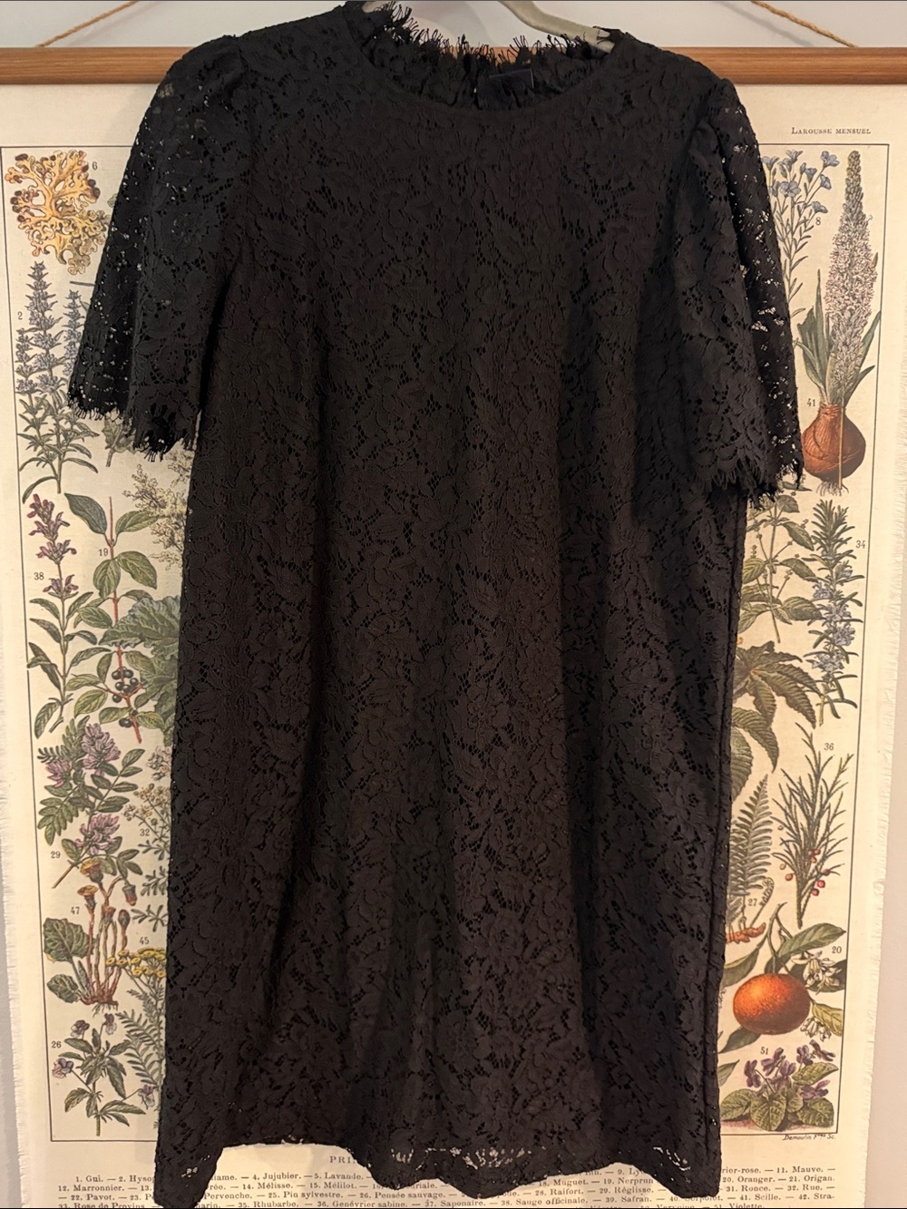 GAP Black Lace Short-Sleeve Shift Dress